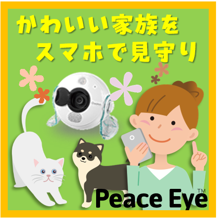 見守りカメラサービスPeaceEye