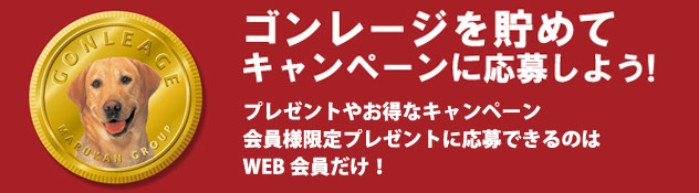 ゴンレージ