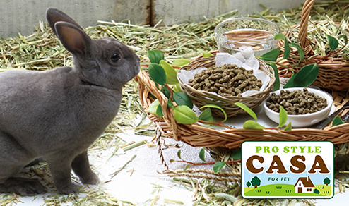 casa
